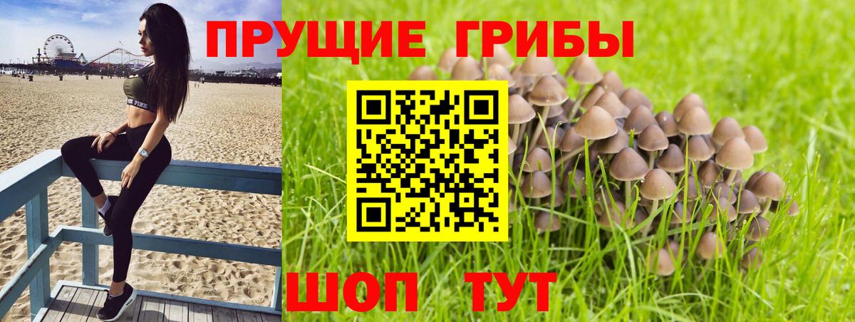 Псилоцибиновые грибы MAGIC MUSHROOMS Пыть-Ях